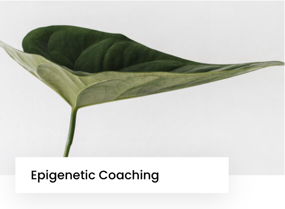 Epigenetic
